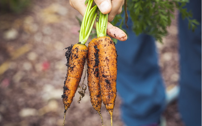 neo-oekologie-nachhaltig-leben-pb-marukusspiske-200805-1280x800-1 Neo-Ökologie versucht Lebensqualität, Nachhaltigkeit und Ökonomie zu verbinden