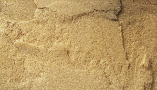 waermedaemmung-beguenstigt-schimmel-nicht-sondern-be-cc0-pixabay-anaterate-250109_download Wärmedämmung begünstigt Schimmel nicht, sondern beugt ihm vor.