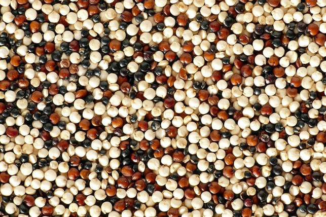 quinoa-gibt-es-in-verschiedenen-farben-wie-du-ihn-cc0-pixabay-pictavio-240619_download Quinoa gibt es in verschiedenen Farben. Wie du ihn kochst, verändert sich dadurch nicht.