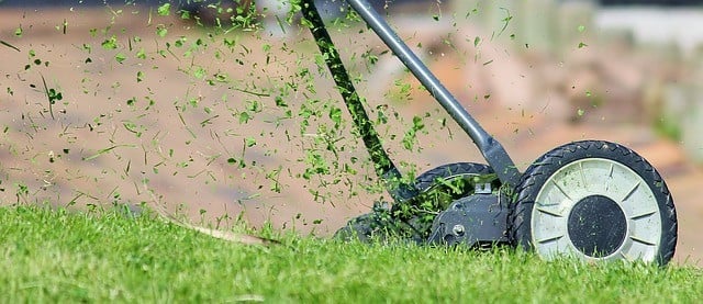 Rasen mulchen Das sind die Vor und Nachteile Utopia.de
