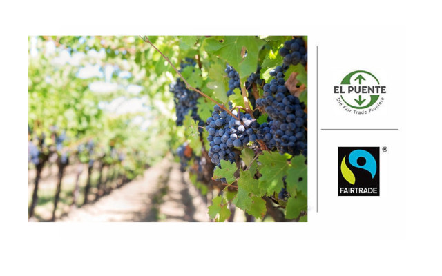 fairtrade-produkte-wein-z-e-jill-wellington-el-puente-fairtrade-deutschland-200618-1280x800 Fair Trade produkte Wein