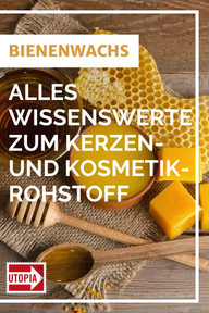 pin-it-foto-getty-imags-pro-white-caty-200130_download Pin it!