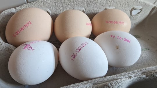 eier-code-bedeutung-bw-240319-1280x720 Eiercode: Was steht auf dem Ei und woher kommt mein Ei?