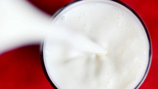 Nährstoffe fehlen: Pflanzliche Milch nichts für Kinder Milch ist nicht gleich Milch: Pflanzliche Varianten aus Soja oder Hafer haben weniger Nährstoffe