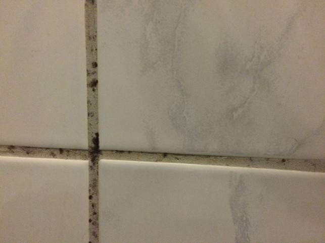 duschkabine-reinigen-fugen-von-schmutz-befreien-rhea-moutafis-utopia-171001_download Beim Reinigen der Duschkabine sind besonders die Fugen zu beachten.