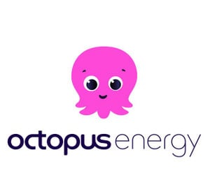 Octopus Energy Ökostrom