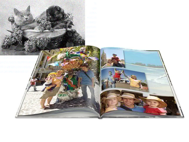 Grüne Fotos statt traurige Bilder