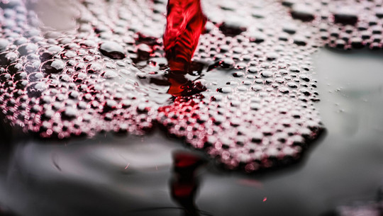 rotwein-cc0--pixabay---251204 Rotwein