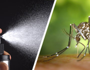 Mückenspray selber machen