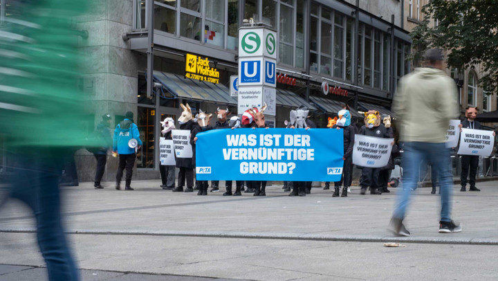 Toter Vogel im Garten Das solltest du tun Utopia.de
