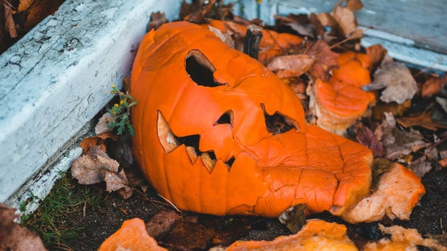 Nicht jeder Kürbis darf in den Biomüll: So entsorgst du Halloween-Doku richtig Halloween-Doku entsorgen