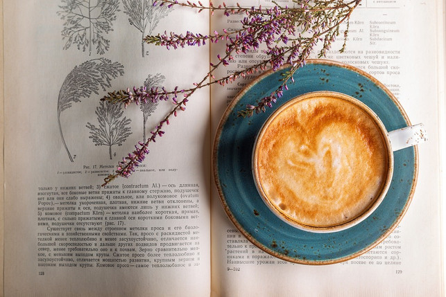 statt-deinen-kaffee-immer-nur-schnell-unterwegs-zu-cco-pixabay-daria-yakovleva-190513_download Statt deinen Kaffee immer nur schnell unterwegs zu trinken, kannst du dich auch einfach mal gemütlich hinsetzen und die Atmosphäre in einem fremden Land so viel besser genießen.