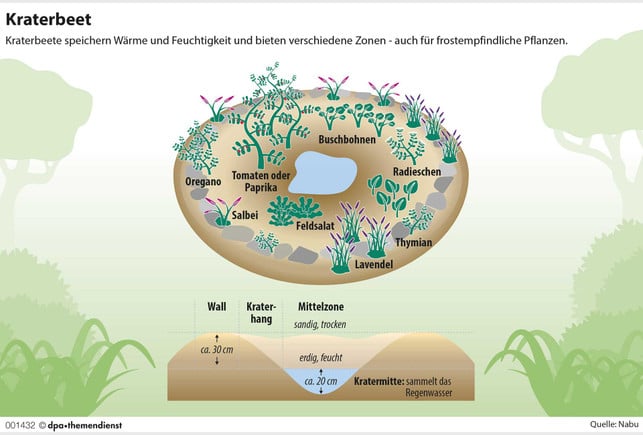 So legst du ein Kraterbeet an: Garten-Tipp für schwere Wetterbedingungen So legst du ein Kraterbeet an: Garten-Tipp für schwere Wetterbedingungen