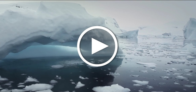 Projekt "Iceberg Songs" gegen den Klimawandel