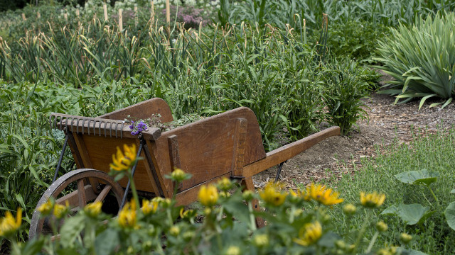 Gartenarbeit im Juni So startest du in den Sommer Utopia.de