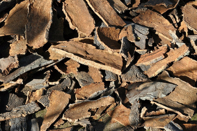reiner-kork-ist-vollstaendig-recyclebar-cc0-pixabay-maja7777-211215_download Reiner Kork ist vollständig recyclebar.