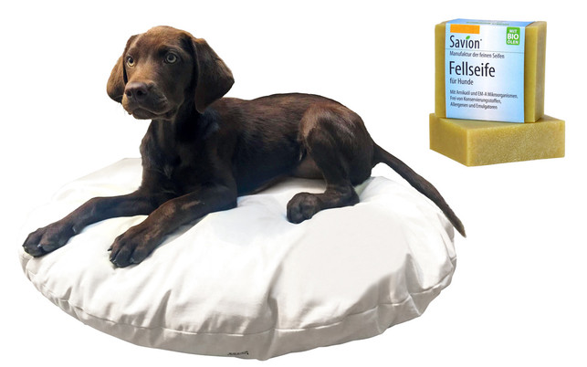 geschenke-hund-kissen-seife-s-Savion-Waschbaer-211201-1280x800 Hundebett und Fellseife