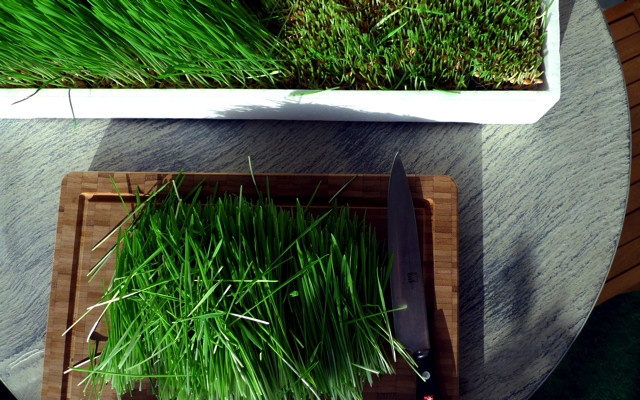 Superfood Weizengras Superfoods Weizengras