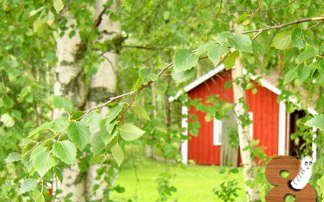 8. „Holzhäuser reduzieren den Waldbestand“_7