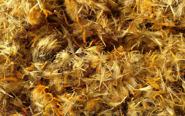 die-blueten-der-arnika-helfen-bei-zahlreichen-besch-cc0-pixabay-loherba-180403_download Die Blüten der Arnika helfen bei zahlreichen Beschwerden.