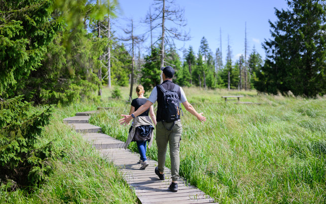 Die Brockenumgehung auf dem Wanderweg Harzer-Hexenstieg Die Brockenumgehung auf dem Wanderweg Harzer-Hexenstieg