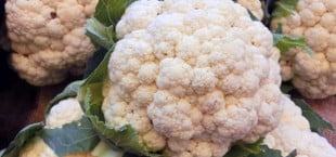 Blumenkohl