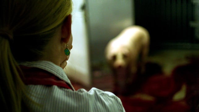 Film-Tipp: Eine der besten Dokus über Fleisch – hier haben Schlachter:innen das Sagen Wir und das Tier