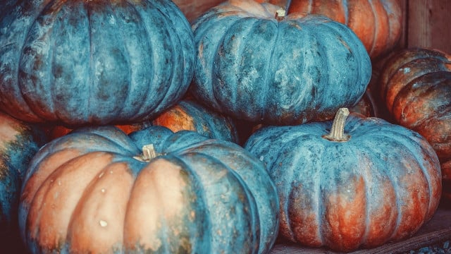 muskatkuerbis-cc0-pixabay-couleur-190930 muskatkürbis