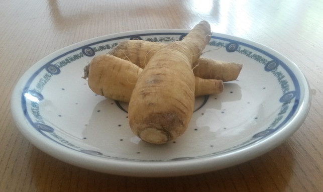 pastinaken-roh-essen-ist-sehr-gesund-und-schmeckt-helena-maier-utopia-180825_download Pastinaken roh essen ist sehr gesund und schmeckt gut.