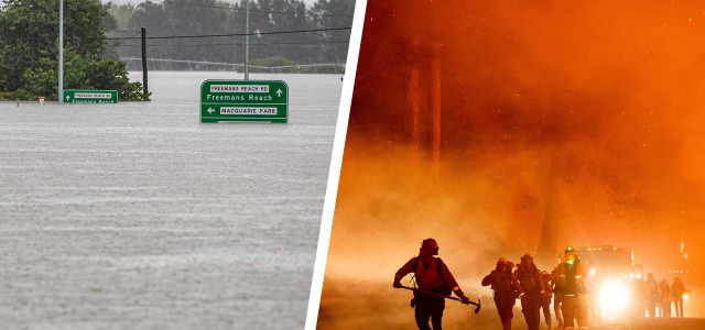 Der Sommer in Bildern: Dürre, Überschwemmung und Brände