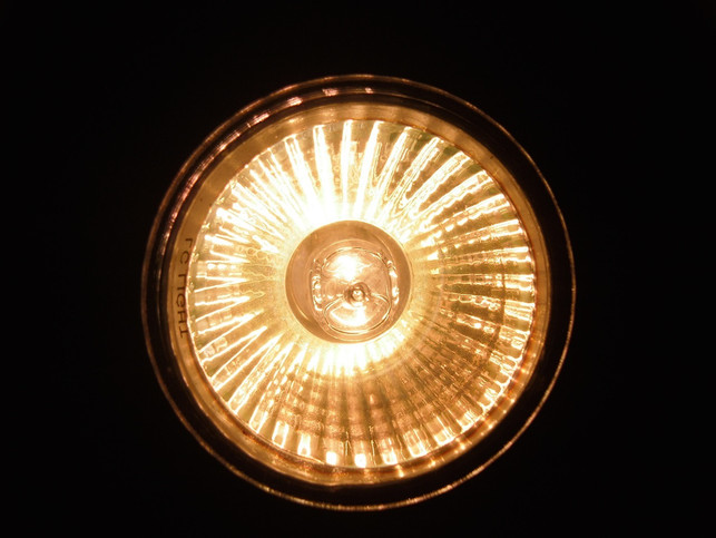 halogenlampen-kannst-du-unkompliziert-ueber-den-hau-cc0-pixabay-eichjoernchen-190930_download Halogenlampen kannst du unkompliziert über den Hausmüll entsorgen.