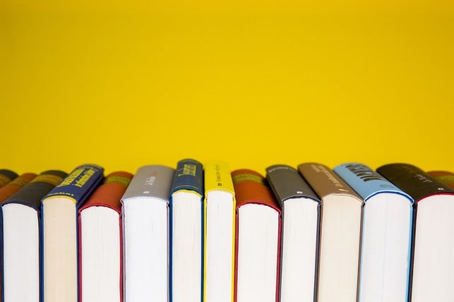 buecher-entsorgen-solltest-du-nur-dann-wenn-sie-un-cc0-pixabay-hermann-250107_download Bücher entsorgen solltest du nur dann, wenn sie unbrauchbar geworden sind.