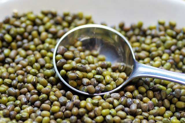 Urd beans are closely related to mung beans. 