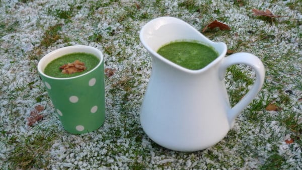 Winter-Smoothies Feldsalat Winter-Smoothies: Feldsalat smoothie rezepte