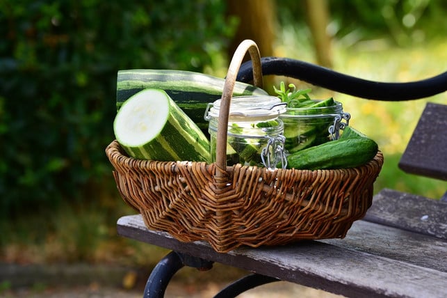 zucchini-werden-mit-schale-gegrillt-cc0-pixabay-congerdesign-180606_download Zucchini werden mit Schale gegrillt.