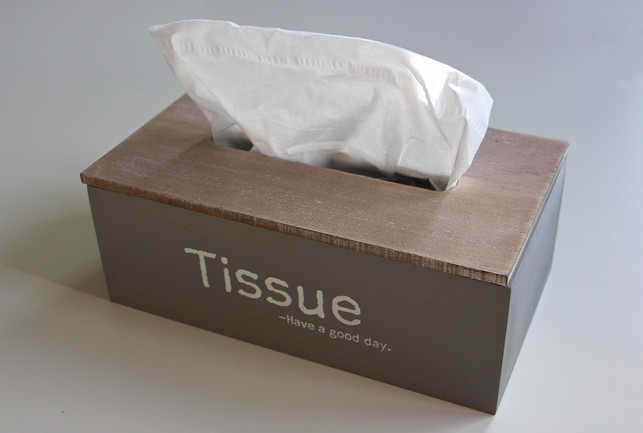 papiertaschentuecher-solltest-du-nicht-verwenden-u-cc0-pixabay-tabeajaichhalt-210311_download Papiertaschentücher solltest du nicht verwenden, um deine Brille zu putzen.