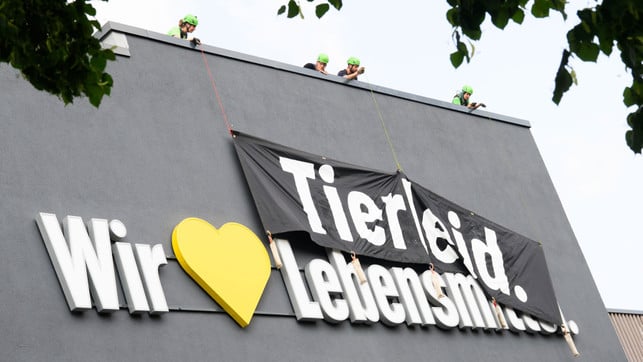 "Wir lieben Tierleid": Greenpeace legt sich mit Edeka an - Supermarkt reagiert Greenpeace Edeka
