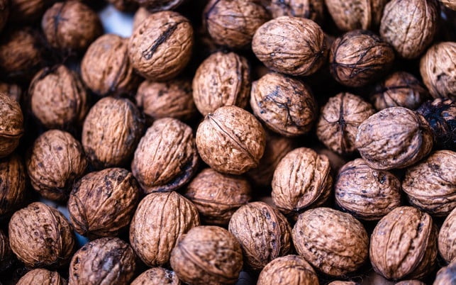 walnuesse-us-cc0-Marian-Kroell-210531-1280x800 Walnüsse