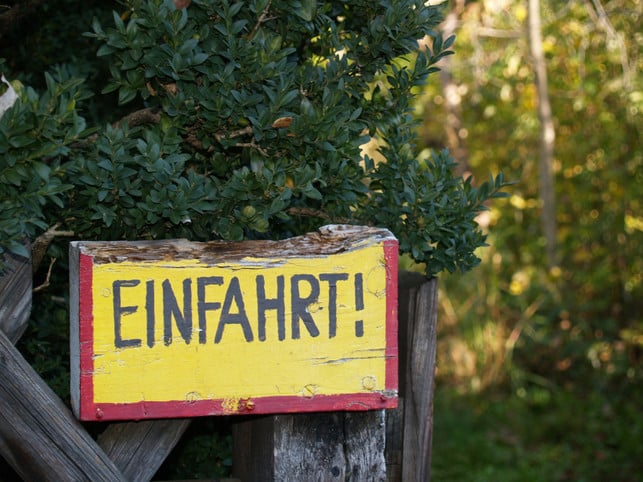 nachhaltig-entfernst-du-unkraut-aus-der-einfahrt-cc0--pixabay--steffenderner-250616_download Nachhaltig entfernst du Unkraut aus der Einfahrt, wenn du mechanische oder organische Methoden anwendest.