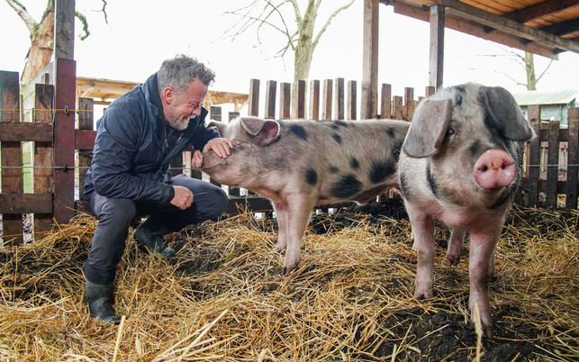 jenke-experiment-z-tvnow-stefan-gregorowius-200302-1280x720 Das Jenke-Experiment zu Fleischkonsum