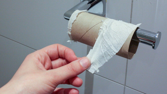 toilettenpapierersatz-cc0-pixabay-jasmin_sessler-200326 toilettenpapierersatz