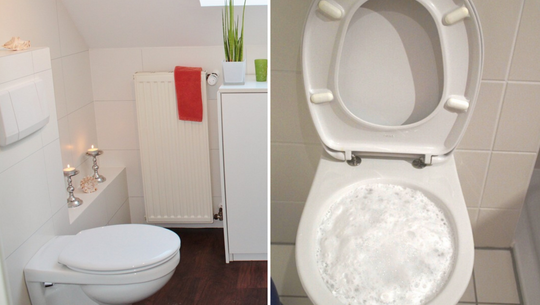 toiletten-bombe-cc0-pixabay-anja-efraimstochter-240313-1 toiletten bombe