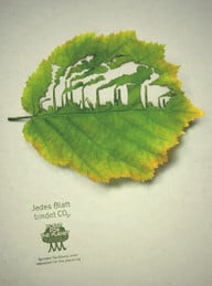 plant-for-the-planet-hat-nach-eigenen-angaben-scho-plant-for-the-planet-200317_download Plant-for-the-Planet hat nach eigenen Angaben schon 13 Milliarden Bäume gepflanzt.