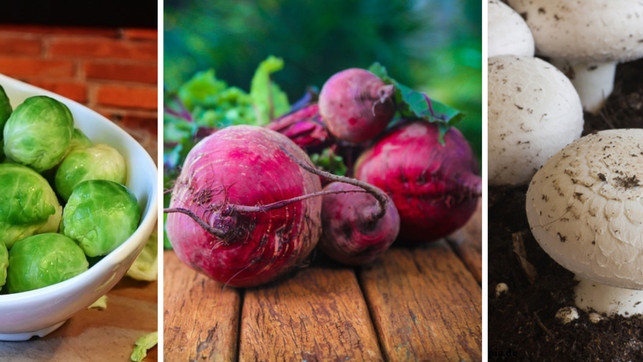 wintergemuese-sorten-pb-w-ritae-hopsalka-201110-1280x720 Wintergemüse: leckere Gemüsesorten für den Winter