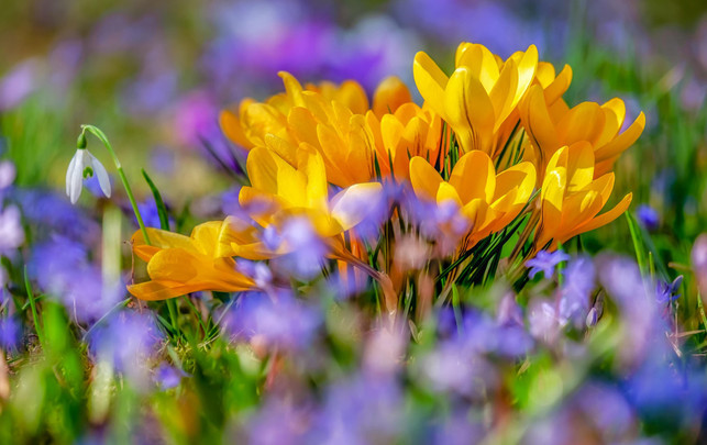 heizen-fruehling-pb-Couleur-230322-1280x720 Im Frühling schwanken die Temperaturen stark, Heizen wird zur Herausforderung.