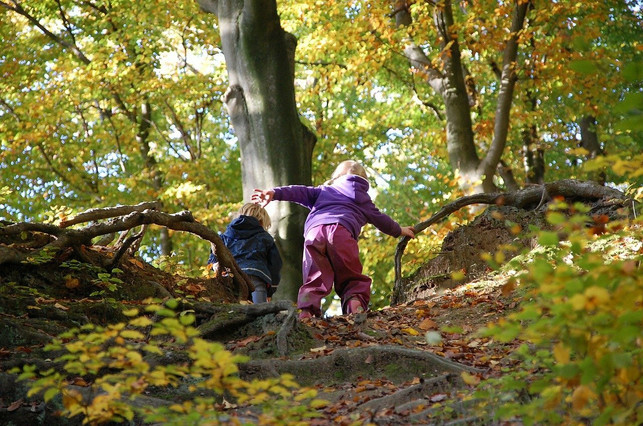 im-waldkindergarten-verbringen-kinder-in-der-regel-cc0-pixabay-barbaramatthijs-210708_download Im Waldkindergarten verbringen Kinder in der Regel etwa vier bis fünf Stunden in der Natur.