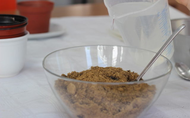 Seed Bombs basteln Seed Bombs basteln