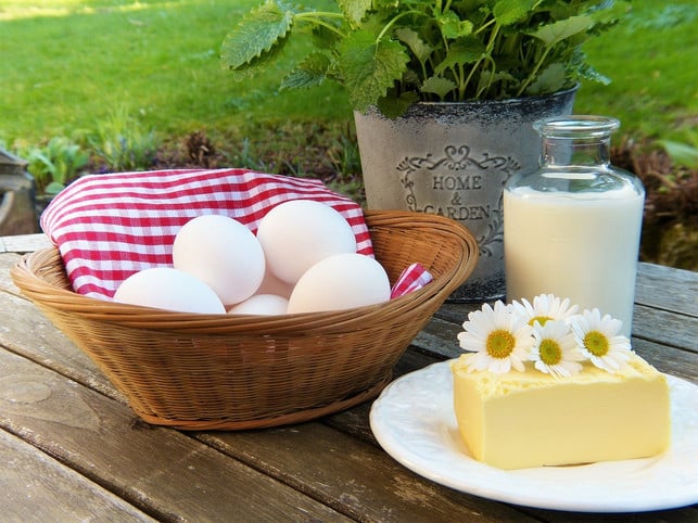 an-eiern-und-milch-scheiden-sich-in-der-vegetarisc-cc0-pixabay-silviarita-210816_download An Eiern und Milch scheiden sich in der vegetarischen Ernährung die Geister.