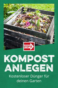 kompost-anlegen-w-190514 Kompost anlegen: Kostenloser Dünger für den Garten
