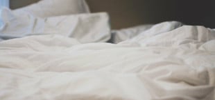 milben im bett